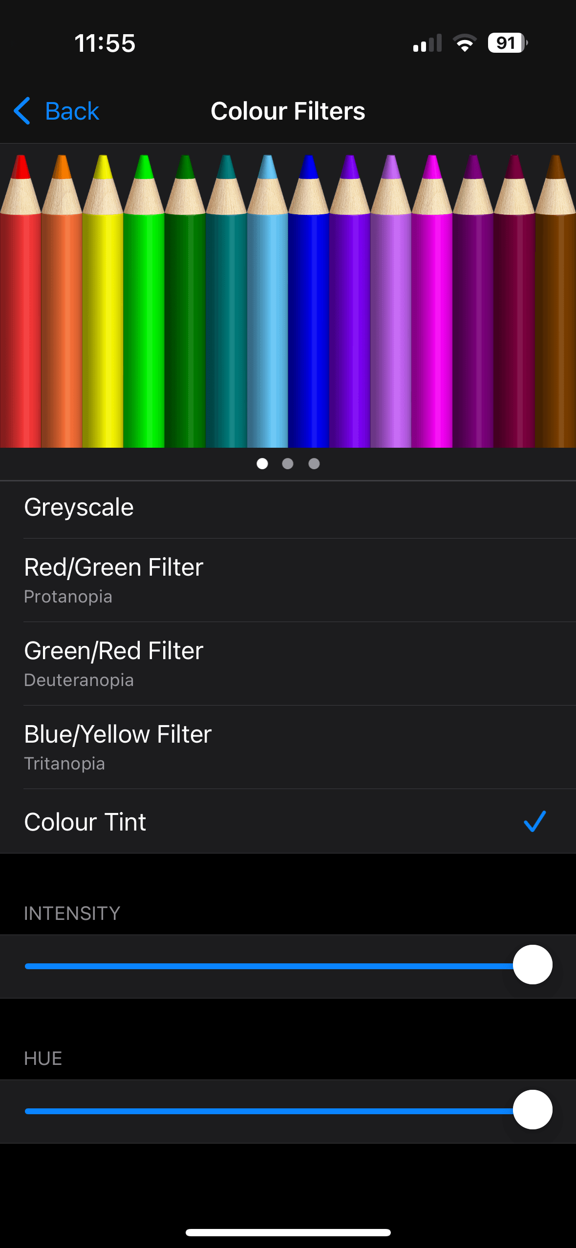 Color Filters settings showing Color Tint selected with Intensity and Hue sliders